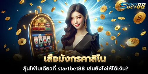 Dragon Tiger Casino, How to play a single card at startbet88 to make money?